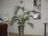 Nagelstudio � Schulungen � Shop