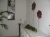 Nagelstudio � Schulungen � Shop